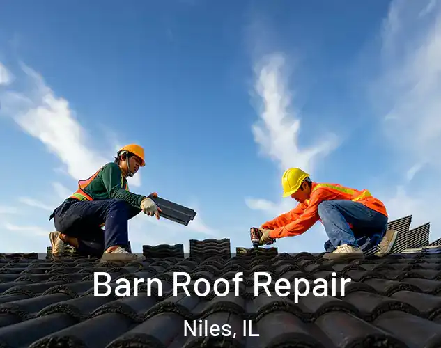 Barn Roof Repair Niles, IL