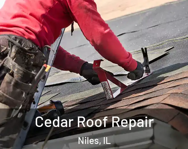  Cedar Roof Repair Niles, IL