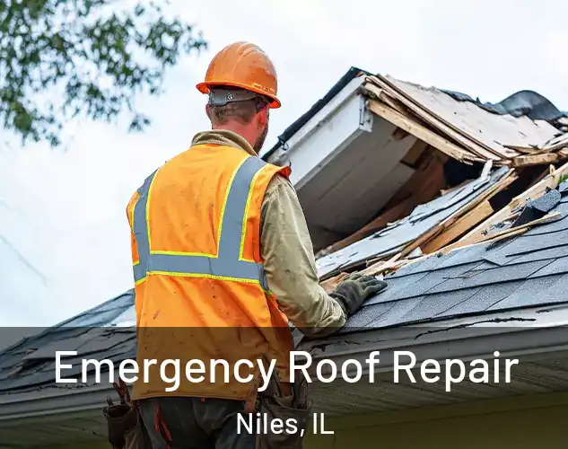  Emergency Roof Repair Niles, IL