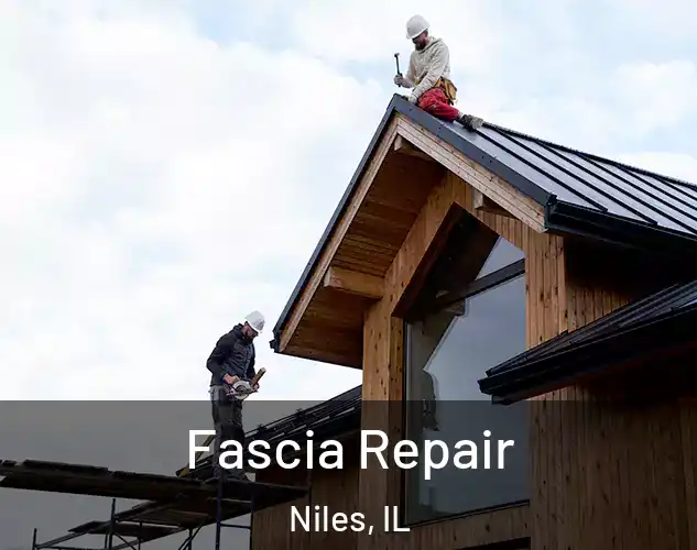  Fascia Repair Niles, IL