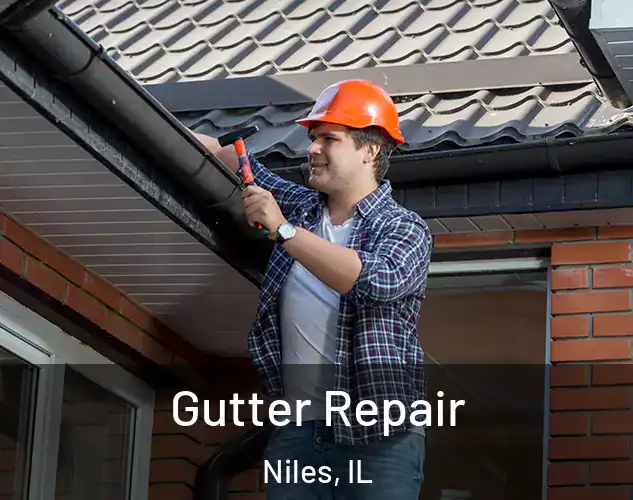  Gutter Repair Niles, IL