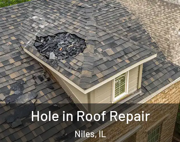  Hole in Roof Repair Niles, IL