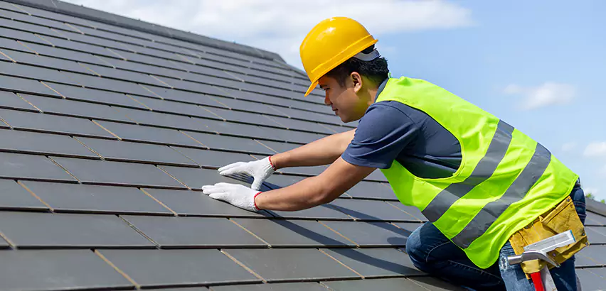 Professional Hail Damage Roof Repair Services in Niles, IL