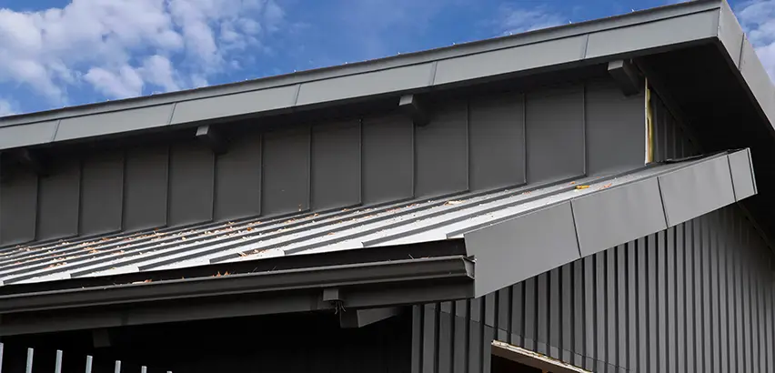 Professional Roof Eaves Installation Services in Niles, IL