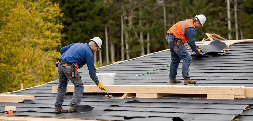 Agricultural Roof Maintenance Niles