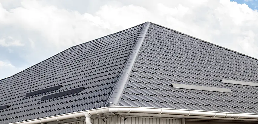Roof Gully Repair in Niles