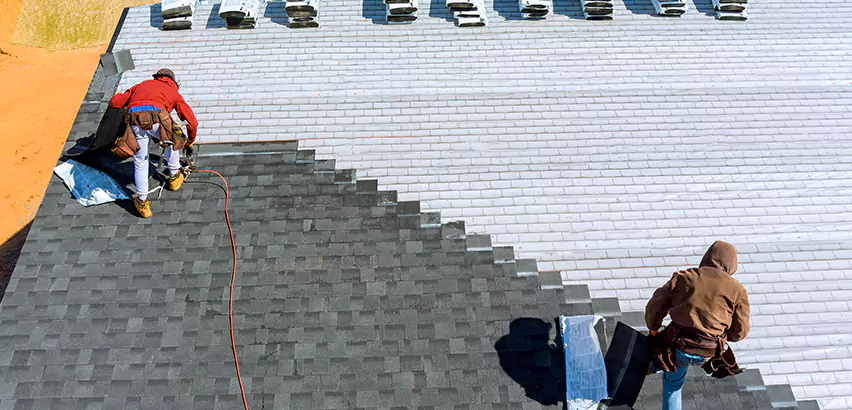 Cement Tile Roof Restoration in Niles