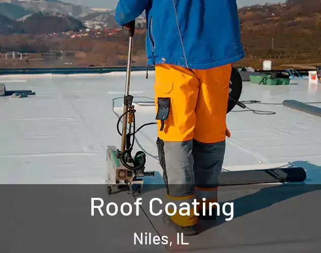  Roof Coating Niles, IL