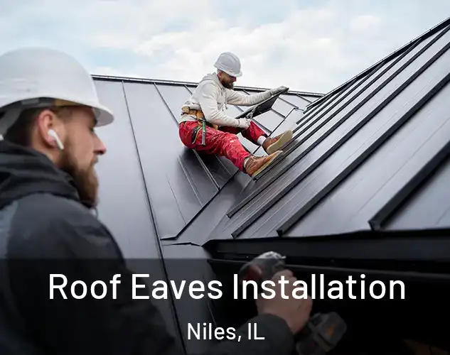  Roof Eaves Installation Niles, IL