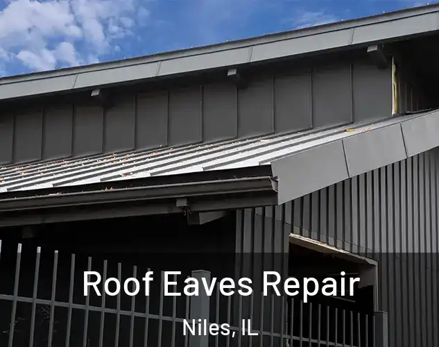  Roof Eaves Repair Niles, IL