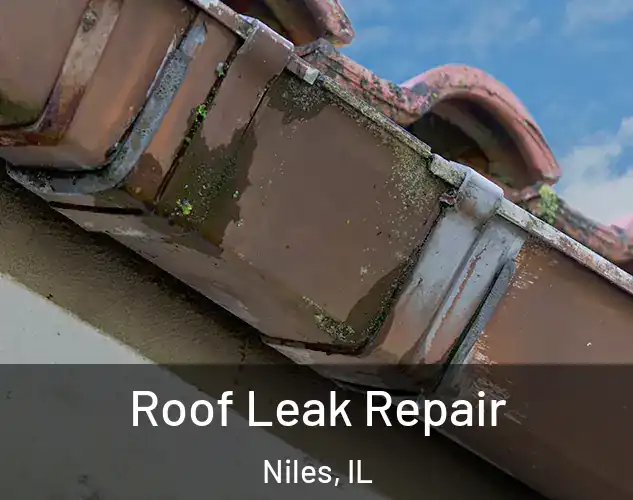  Roof Leak Repair Niles, IL