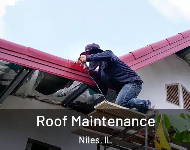  Roof Maintenance Niles, IL