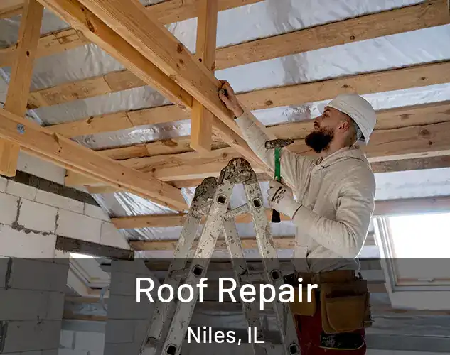  Roof Repair Niles, IL