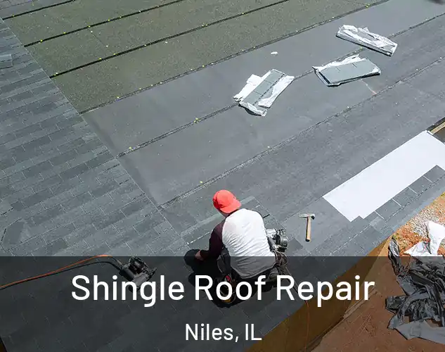  Shingle Roof Repair Niles, IL