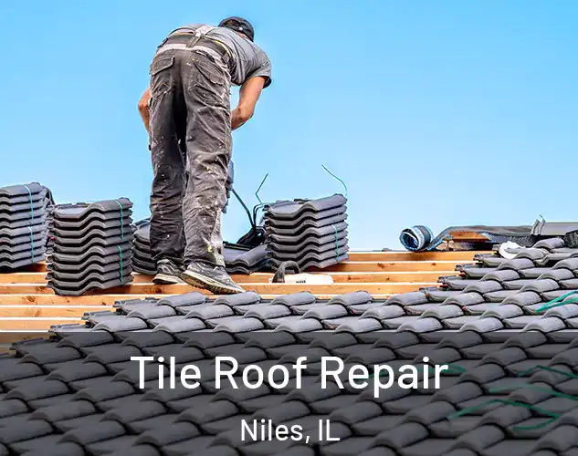  Tile Roof Repair Niles, IL