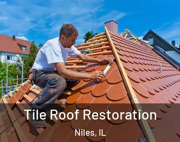  Tile Roof Restoration Niles, IL